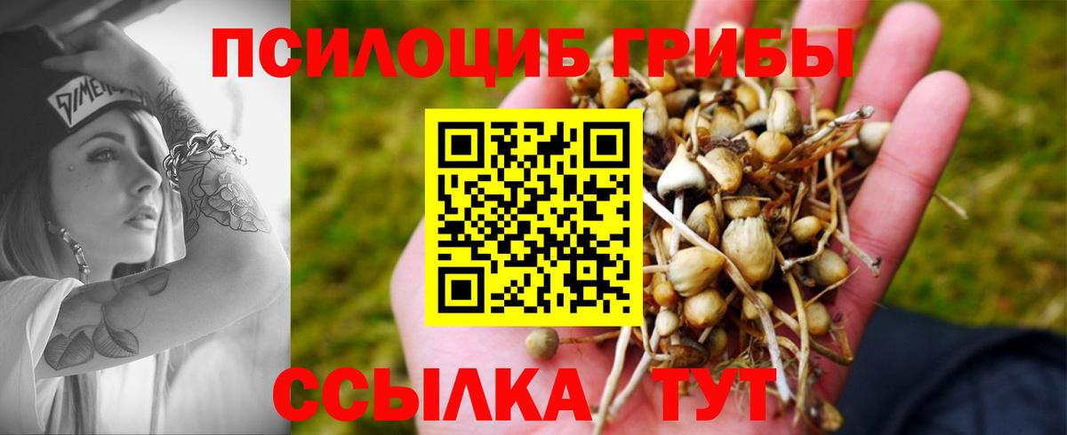 Россошь  Псилоцибиновые грибы MAGIC MUSHROOMS  Вход с VPN  Псилоцибиновые грибы прущие грибы 